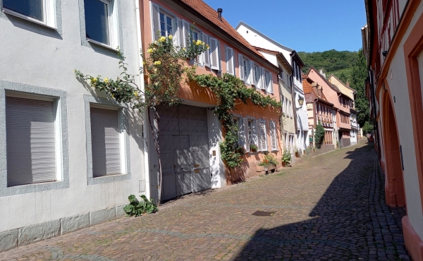 Liebs’scher Hof - Ferienwohnung